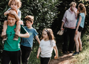 Read more about the article Standard post with a single image2